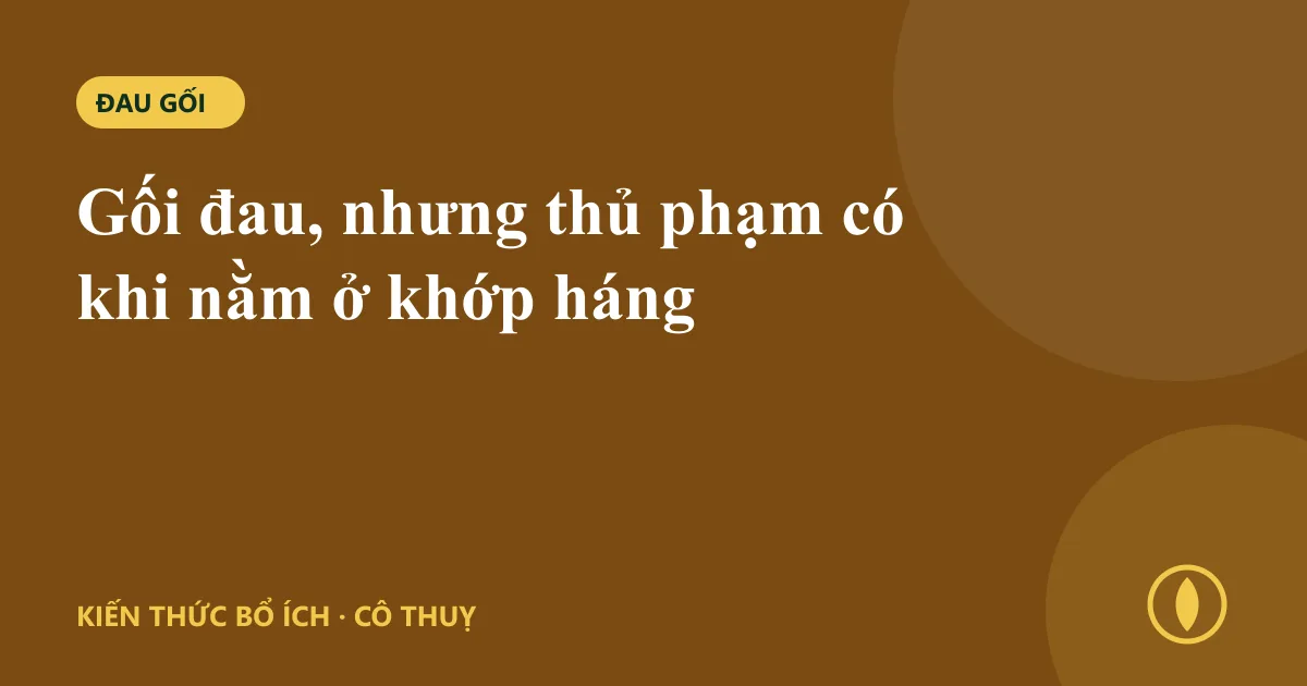Gối đau, nhưng thủ phạm có khi nằm ở khớp háng